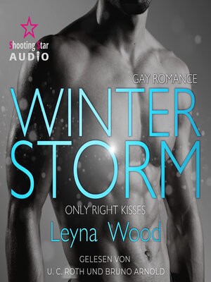 cover image of Winterstorm